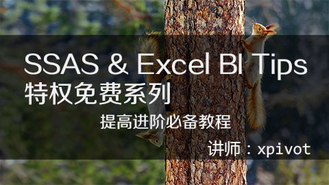 SSAS & Excel BI Tips（技巧、原创秘诀）【特权免费系列】
