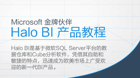 Microsoft 金牌伙伴 Halo BI 产品教程