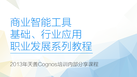 商业智能工具，基础、行业应用，职业发展系列教程【2013年内部资料】